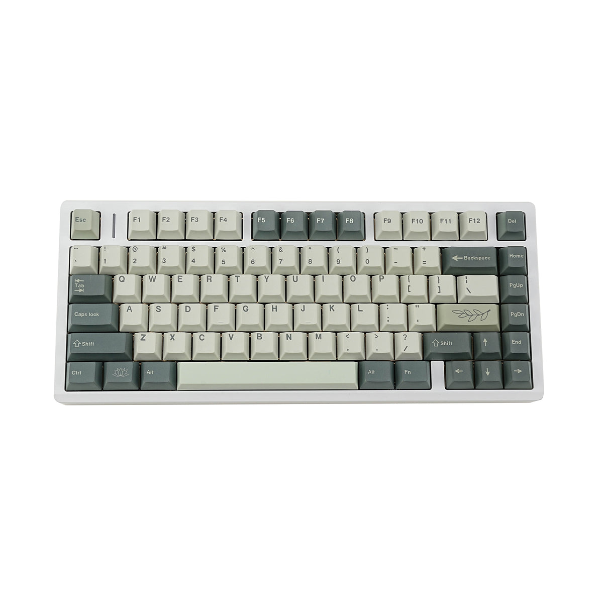 Botanical Garden Inspired 1.7mm Thick Japanese English PBT Keycaps