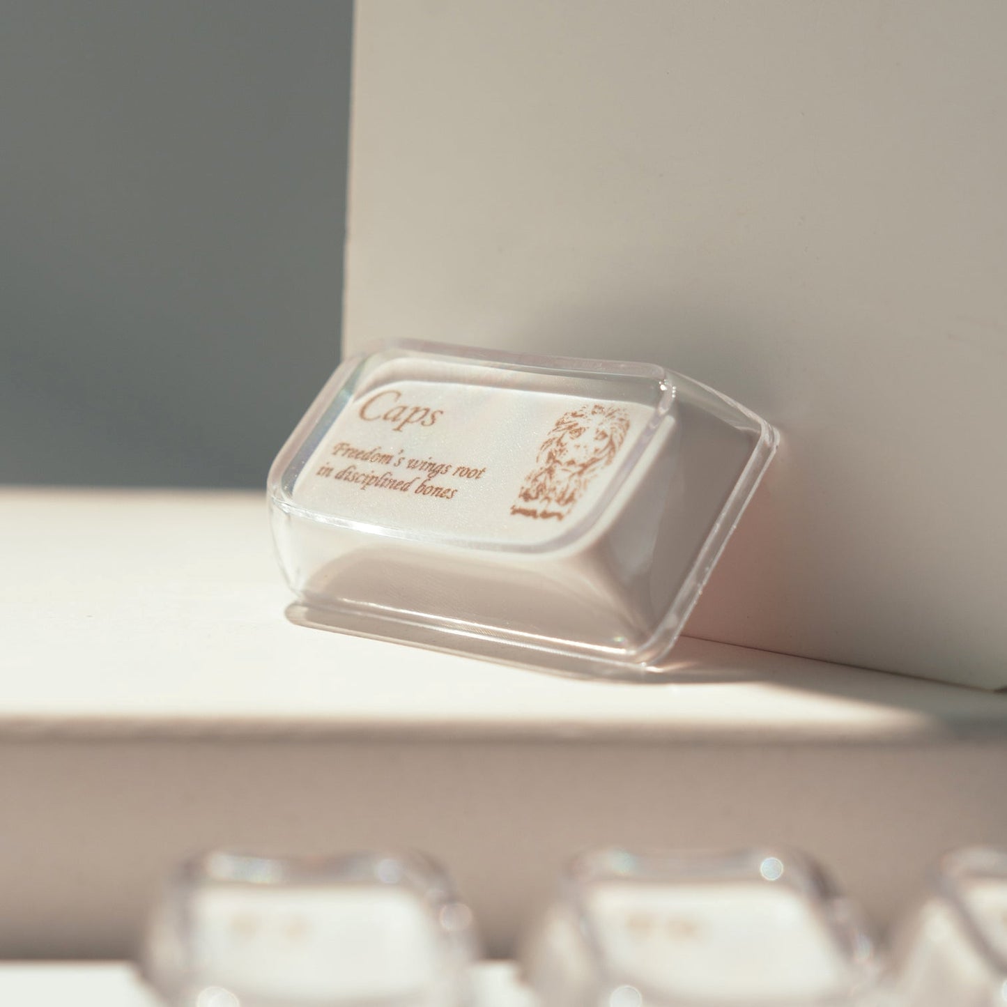 Womier Luna MDA Doubleshot Keycaps