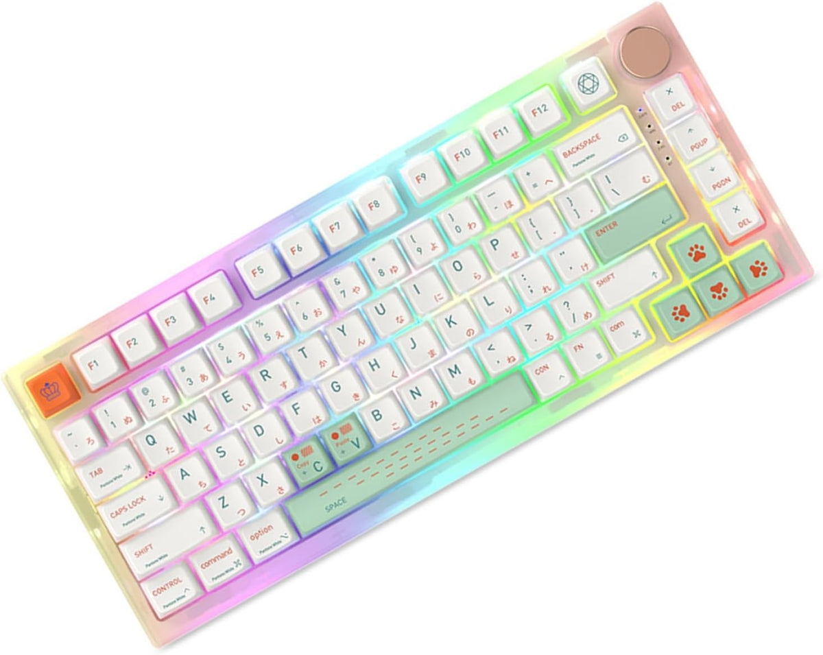 Pantone Meadow MDA PBT Keycaps Mac Compatible