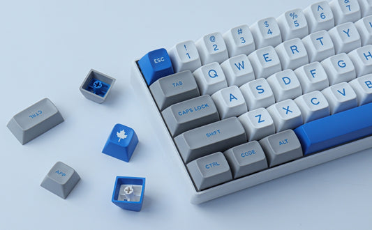 Grey White Blue Quality SA Doubleshot Keycaps