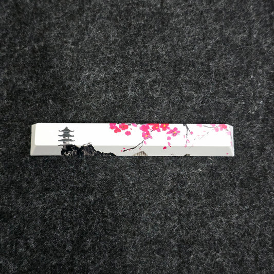 6.25u Spacebar Replacement Keys