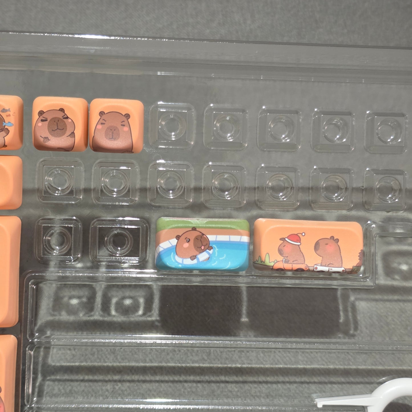 Capybara Dreams Quality MOA PBT Keycaps