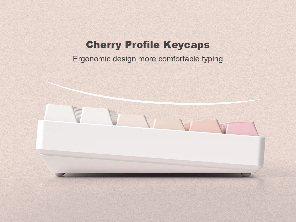 Sakura Gradient Backlit Cherry Profile Double Shot PBT Keycap