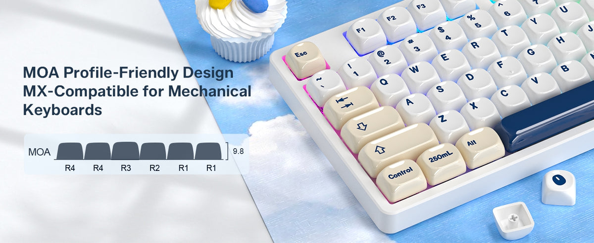 Womier Ceramic Coated Sea Salt Cheese MOA PBT Keycaps