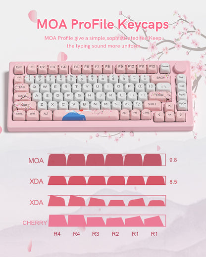 Womier Mount Fuji Sakura Sunrise MOA PBT Keycaps