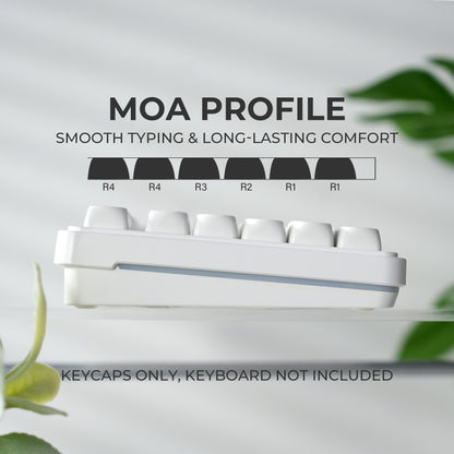 XVX Mono Series MOA Profile Shine-Through PBT Keycap Set