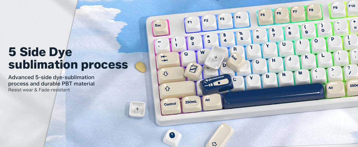 Womier Ceramic Coated Sea Salt Cheese MOA PBT Keycaps