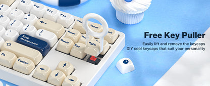 Womier Ceramic Coated Sea Salt Cheese MOA PBT Keycaps