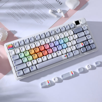 Womier Raibow MOA PBT Keycaps