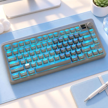 New Astronaut XDA Height Shinethrough PBT Keycaps With Storage Box