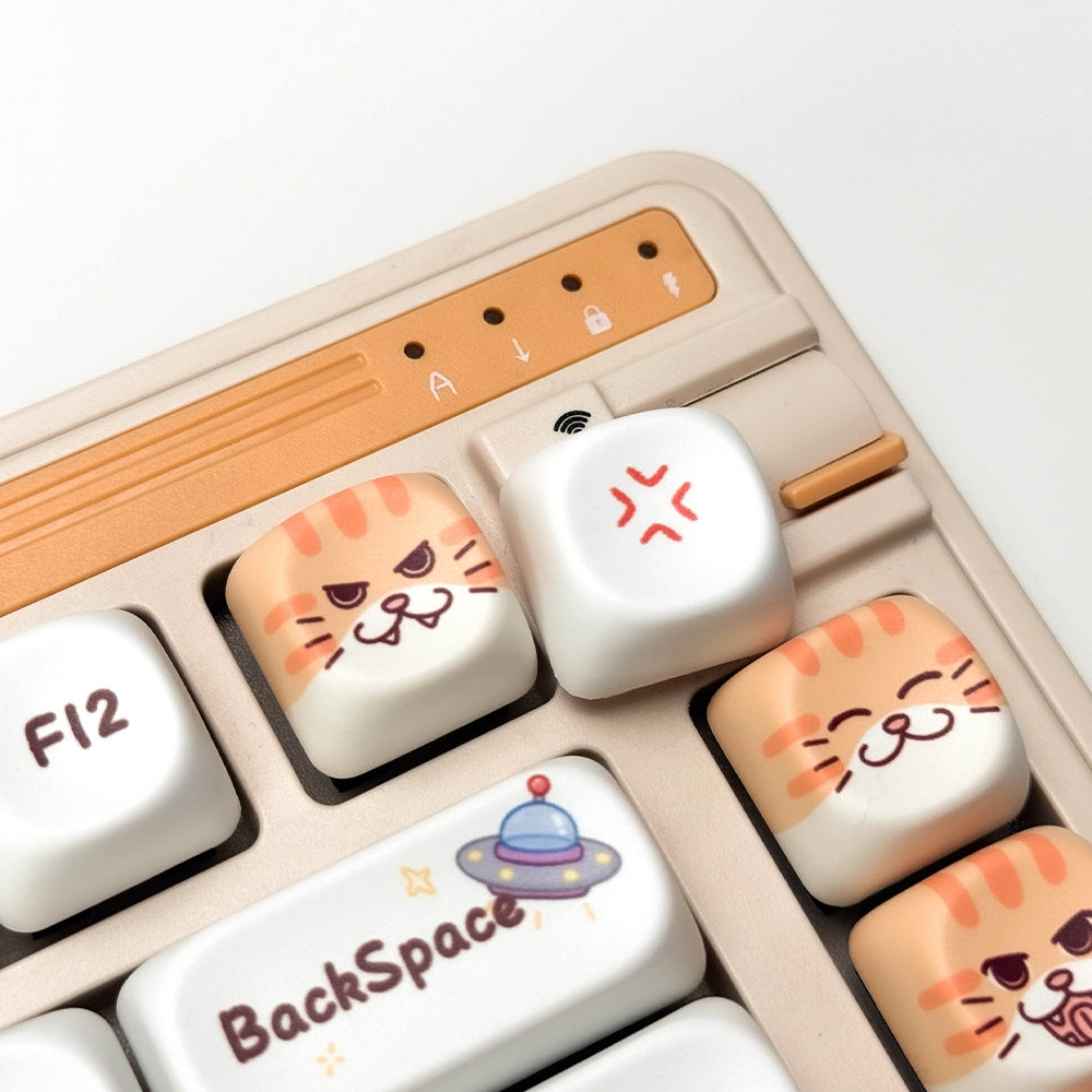 Chaos Kitties MOA PBT Keycaps Mac Compatible