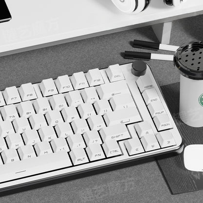 Minimal White Thick 1.8mm Side Backlit Cherry PBT Keycaps