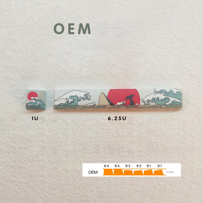 Coral Sea Novelty ESC and Spacebar Combo OEM