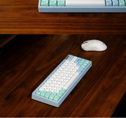 Alpine Mist Moa PBT Keycaps Mac Compatible