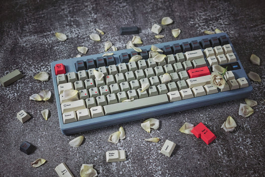 PREMIUM Red Light Cherry PBT Keycaps With PBT Storage Box