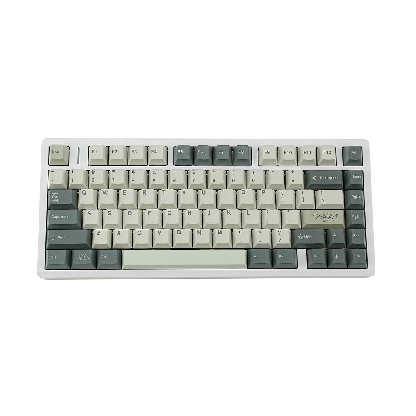 Botanical Garden Inspired 1.7mm Thick Japanese English PBT Keycaps