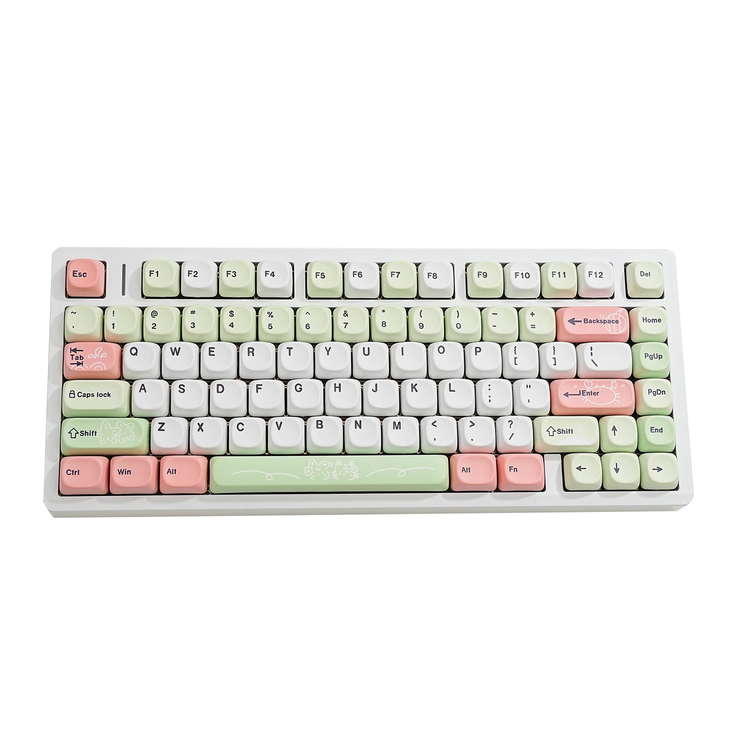 Watermelon Moa PBT Keycaps