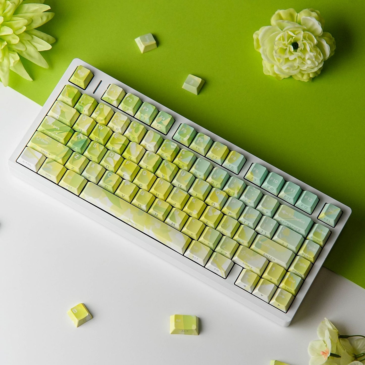 Summer Trail Dual Legends Shinethrough keycaps