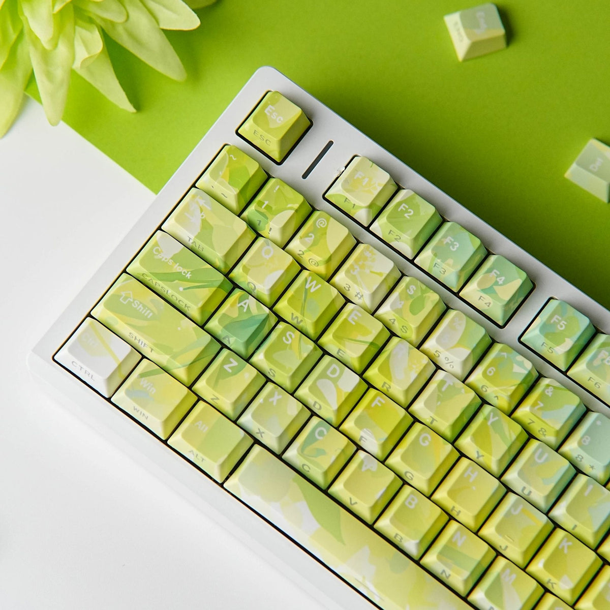 Summer Trail Dual Legends Shinethrough keycaps