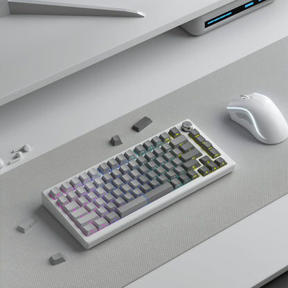 Polar Diagonal Gradient Side Backlit Cherry Doubleshot Keycaps
