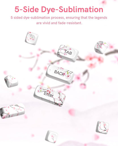 Womier Mount Fuji Cherry Blossom MOA PBT Keycaps