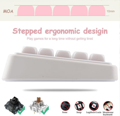 Apple Mac Ceramic Style MOA Keycaps