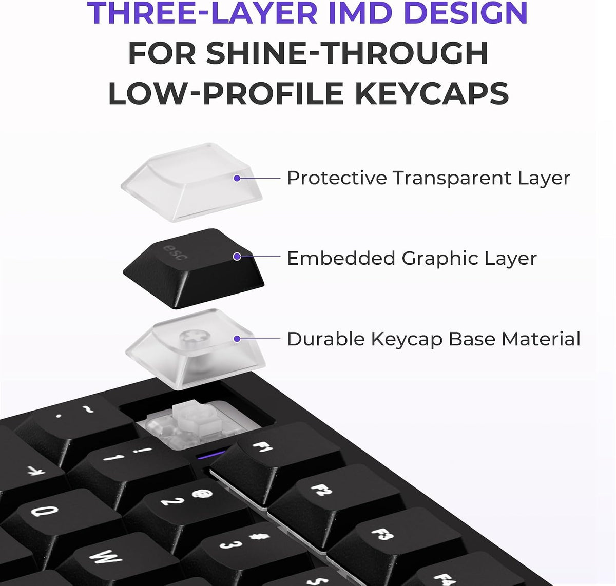 XVX Premium IMD Air Low-Profile Shine-Through 80-Key PBT Keycap Set