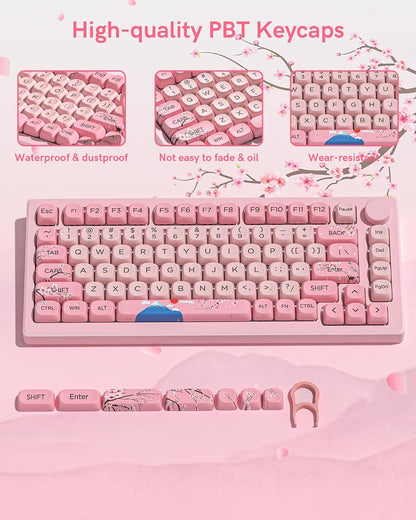 Womier Mount Fuji Sakura Spring MOA PBT Keycaps