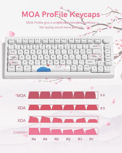 Womier Mount Fuji Cherry Blossom MOA PBT Keycaps