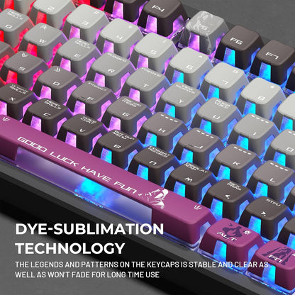 Valorant Lighthouse Profile Side Backlit Doubleshot Keycaps