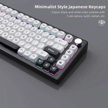 Teishoku MOA Profile Dye-Sub PBT Keycap Set