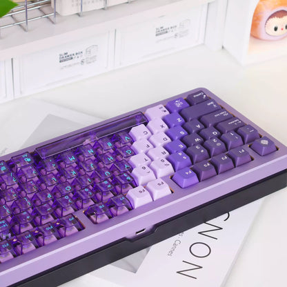 Purple Lilac Gradient 209 PBT Sublimation & Crystal Transparent Hybrid Keycaps