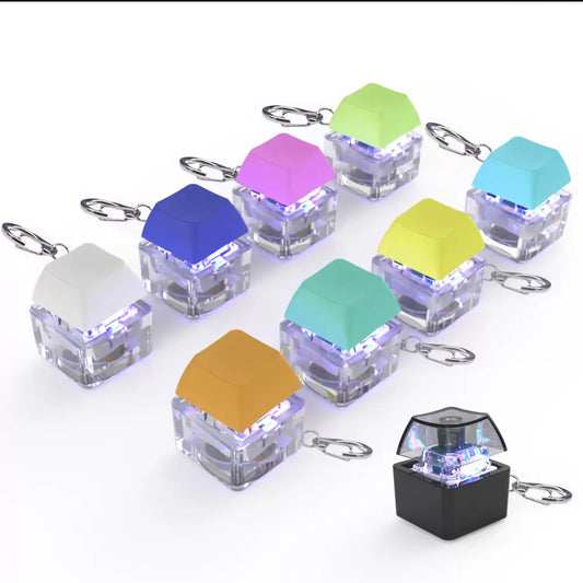 Switch Fidget Keychain Toy With Built In RGB / Non RGB Free Shipping