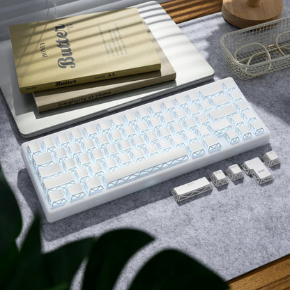 XVX PRISM Refraction Shine-Through Cherry Profile 130-Key PBT Keycap Set