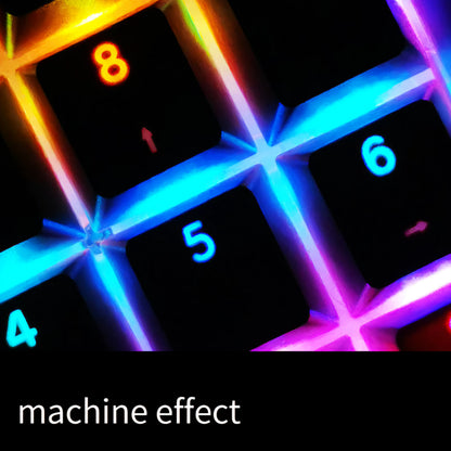Top Backlit Polar Day OEM Doubleshot PBT Keycaps Box Packaging