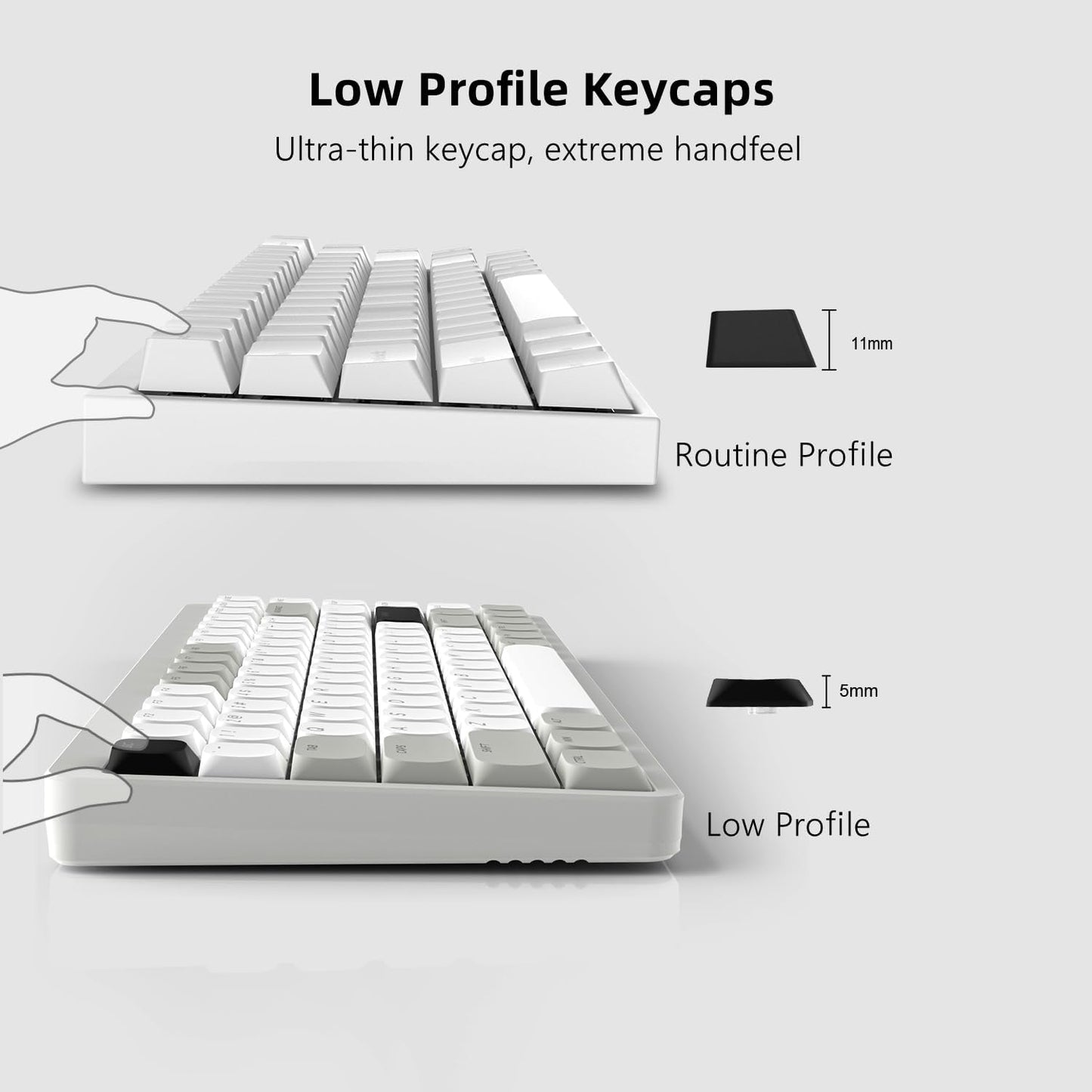 Low Profile Normcore 1990   Shine through Doubleshot PBT Backlit Keycaps