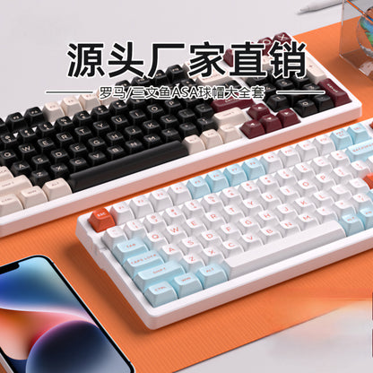 Vivid Tricolour ASA Profile Doubleshot PBT Keycaps