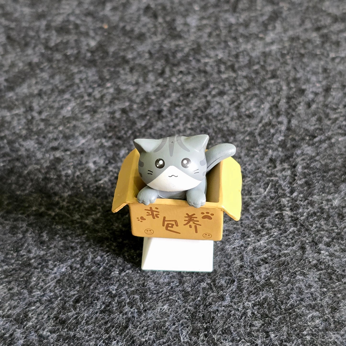 Gray Cat In Box Artisan Keycap