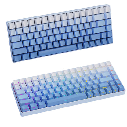 Sky Blue Gradient Side Backlit OEM Doubleshot PBT Keycaps