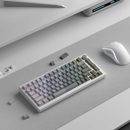 Polar Diagonal Gradient Side Backlit Cherry Doubleshot Keycaps