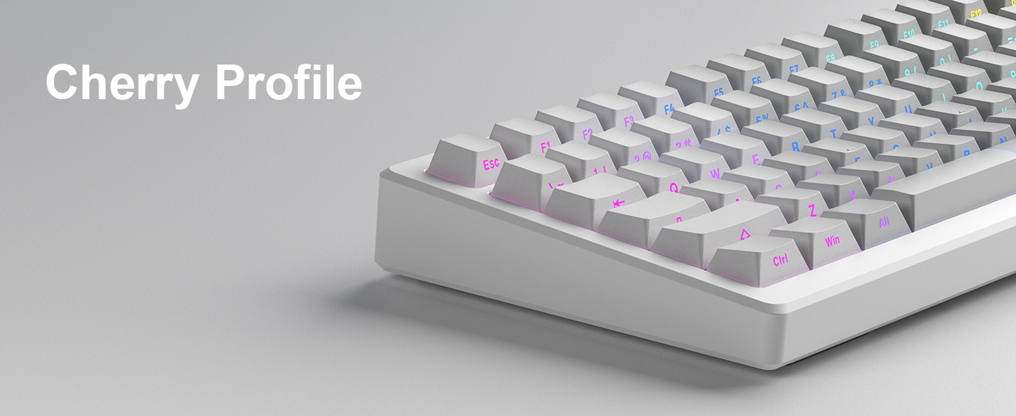 Ash Diagonal Gradient Side Backlit Cherry Doubleshot Keycaps