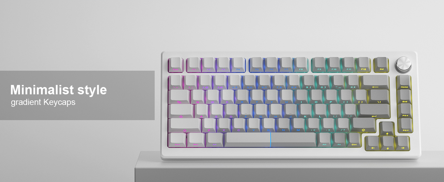 Ash Diagonal Gradient Side Backlit Cherry Doubleshot Keycaps