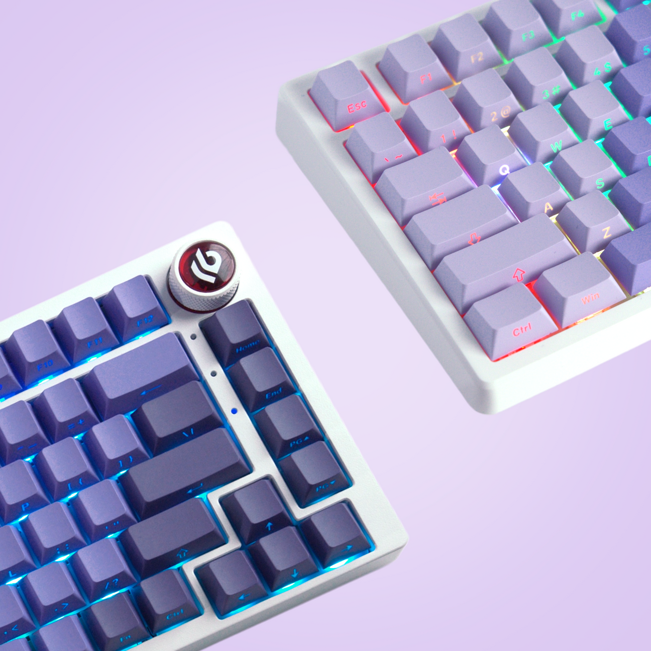 Purpurite Diagonal Gradient Side Backlit Cherry Profile Keycaps