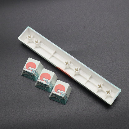 Coral Sea Novelty ESC and Spacebar Combo OEM